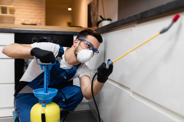 Best Fumigation Services  in New River, AZ